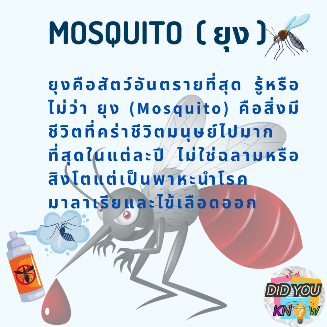 #รู้หรือไม่