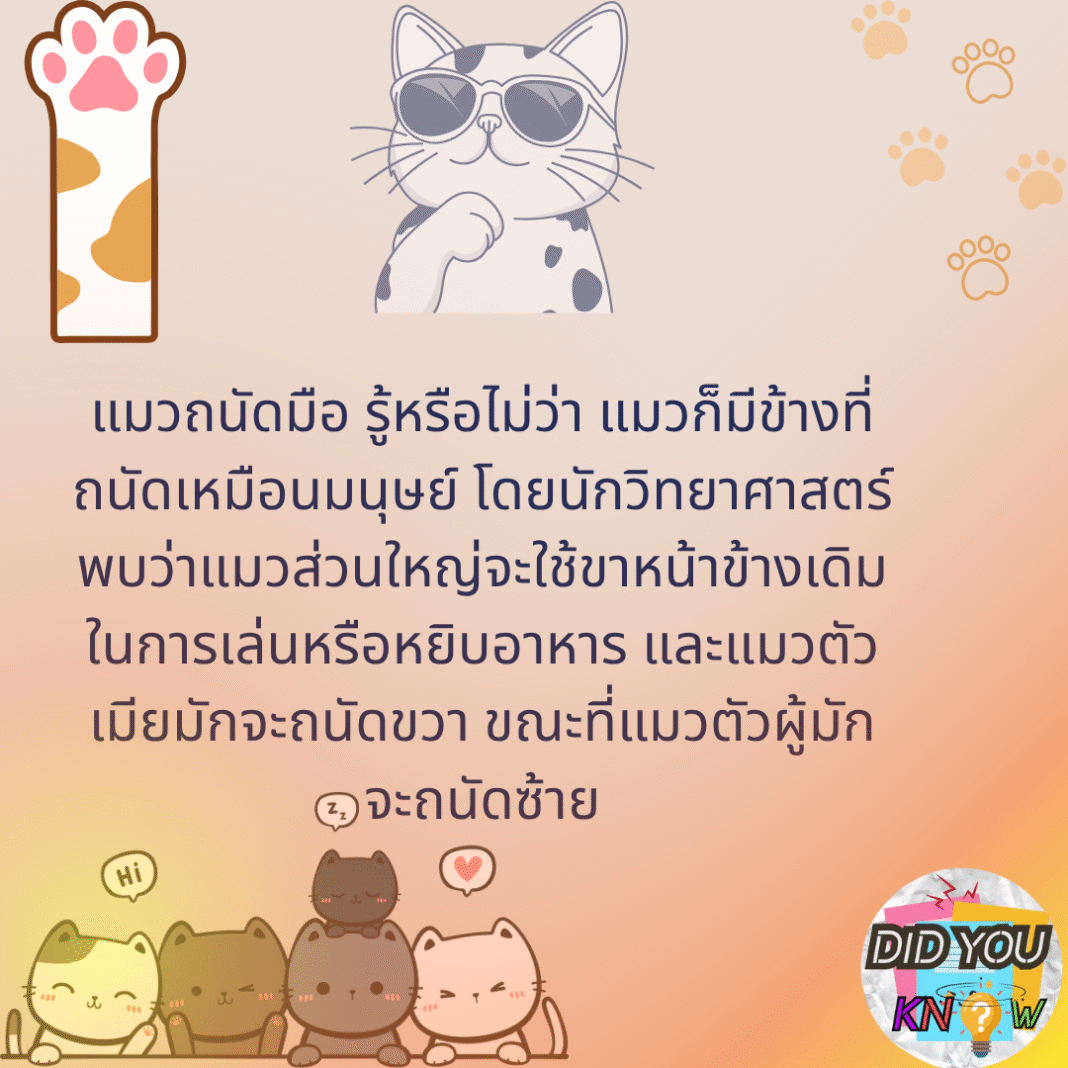 #รู้หรือไม่