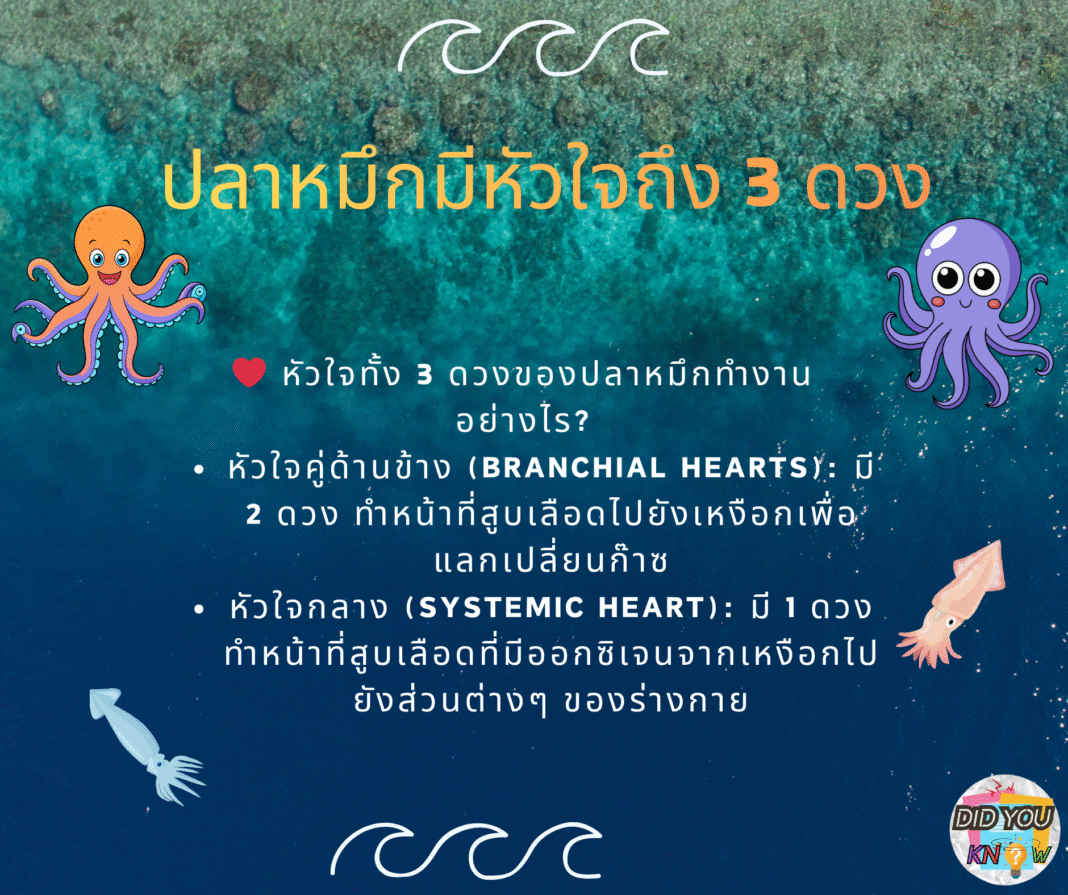 #รู้หรือไม่